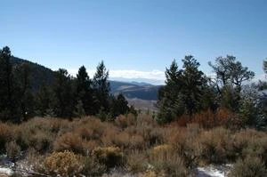 Picture provided by B7C 10/19/2022